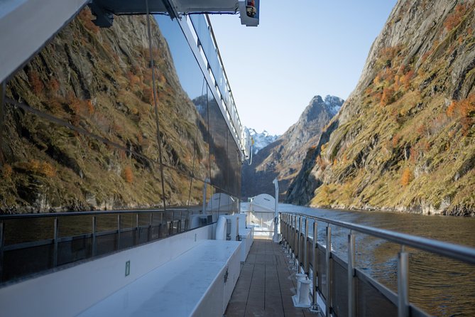 Lofoten Island: Silent Trollfjord Cruise from Svolvær - Wildlife Watching That Actually Feels Effortless