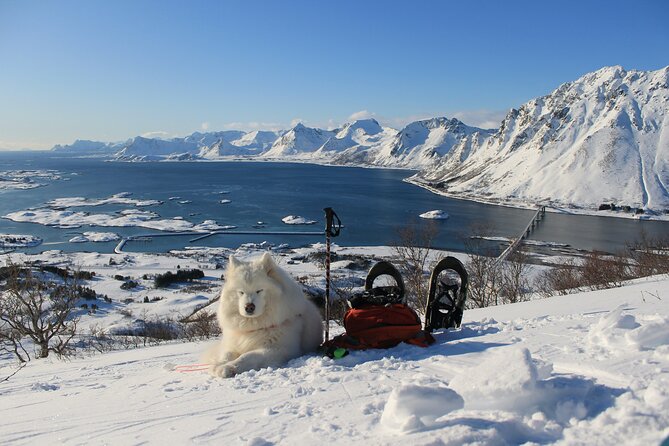 Lofoten Islands: Guided Snowshoeing Tour - Uphill version - What Happens First: The 10-Minute Safety Briefing