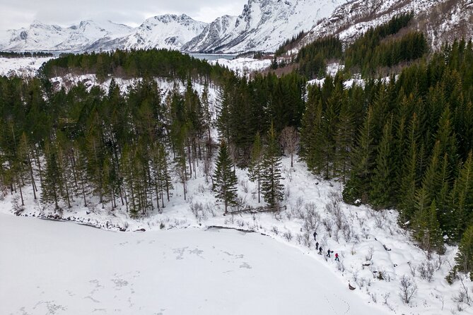 Lofoten Islands: Guided Snowshoeing Tour - Uphill version - The Main Climb: Guided Snowshoeing for About 2 Hours