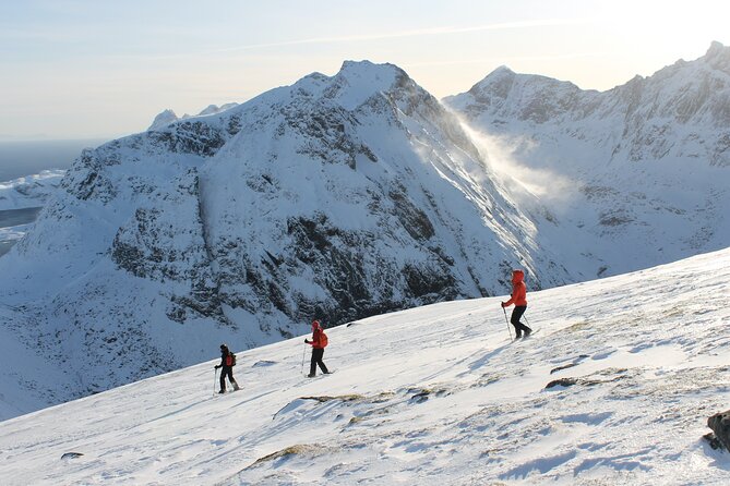 Lofoten Islands: Guided Snowshoeing Tour - Uphill version - How Weather Changes the Plan (And Why That Is Good)