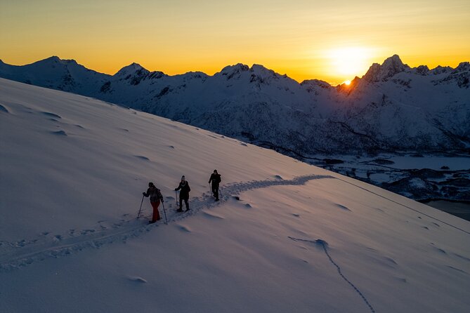 Lofoten Islands: Guided Snowshoeing Tour - Uphill version - Price and value: what $140.24 covers in winter conditions