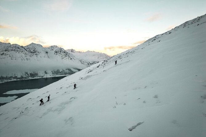 Lofoten Islands: Guided Snowshoeing Tour - Uphill version - Getting There at Gimsøystraumen, and Finding Your Guide
