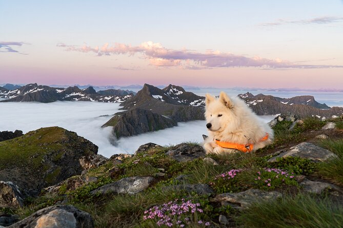 Lofoten Islands: Hiking Into the Wilderness - How to Pace Yourself Toward a Peak Without Burning Out