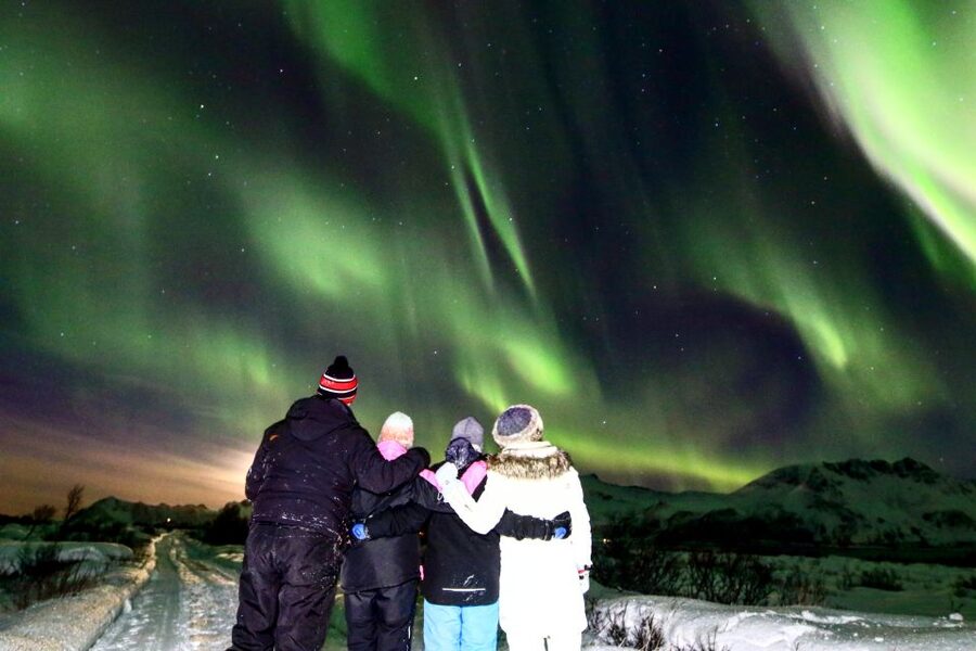 Lofoten: Northern Lights Tour with Photographer - Small Group Comfort: Limited to 8, with a Minibus Option in Peak Periods