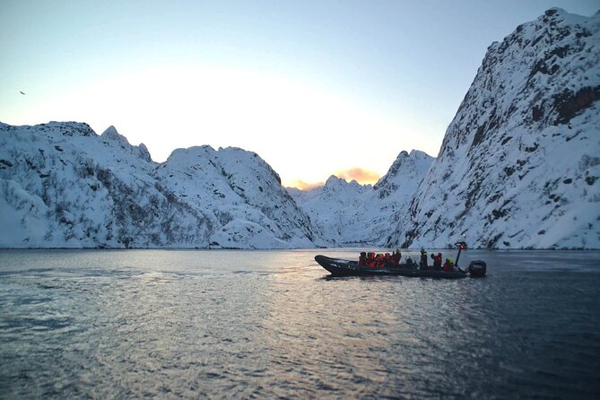 Lofoten RIB Sea Eagle Safari and Trollfjord Cruise - Gear Included: What You Get and How to Use It