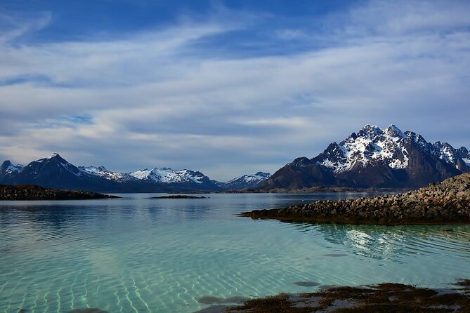 Lofoten RIB Sea Eagle Safari and Trollfjord Cruise - Meeting at Torget 22 in Svolvaer and Finding the Rhythm