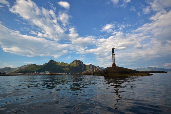 Lofoten RIB Sea Eagle Safari and Trollfjord Cruise - The Real Value: Why $128.94 Can Make Sense Here