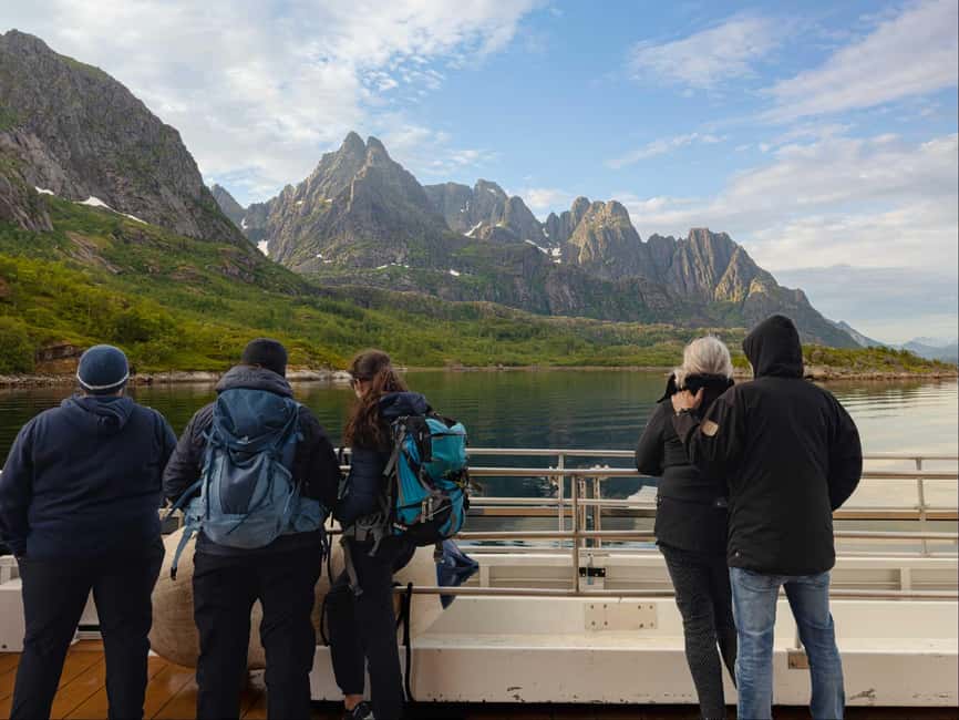 Lofoten: Sea Eagle Sunset Cruise - White-tailed eagles: what you should hope for, and how to maximize your odds