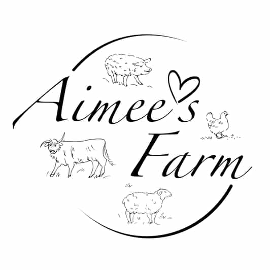 Lofoten (Stamsund and Leknes): Aimees Farm Experience - Meet the Scottish Highland cattle and pet the free-range pigs