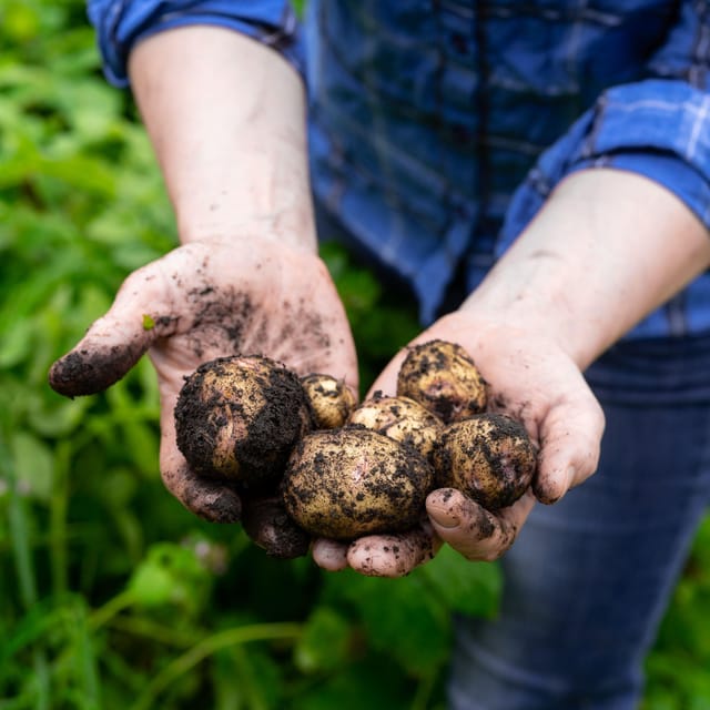 Lofoten (Stamsund and Leknes): Aimees Farm Experience - Price and value: what $173 gets you in practice