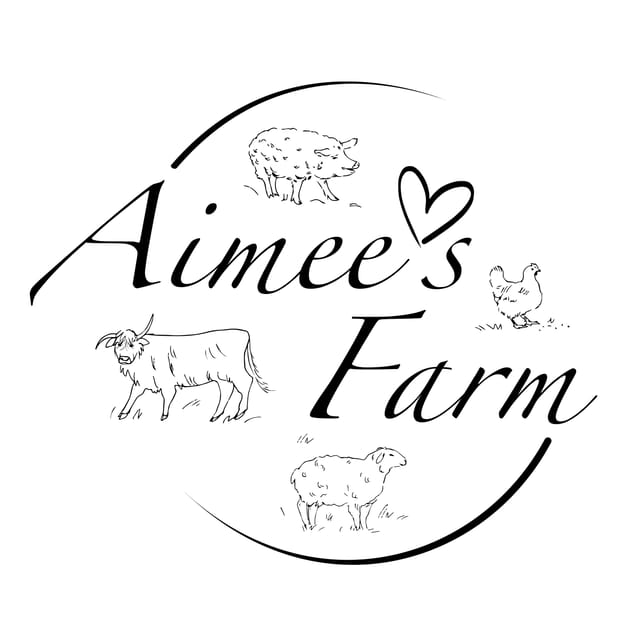Lofoten (Stamsund and Leknes): Aimees Farm Experience - Should you book Aimees Farm Experience in Lofoten?
