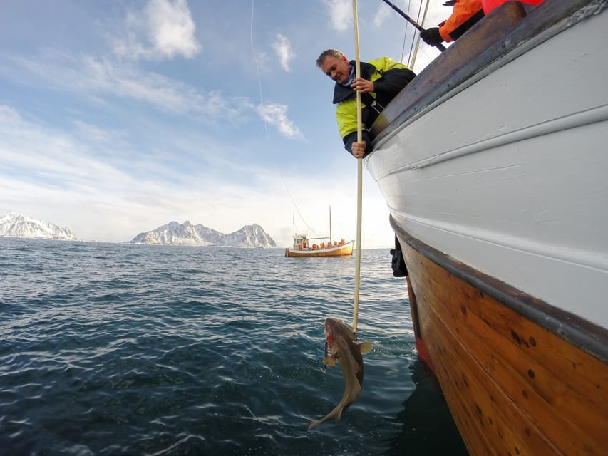 Lofoten: Traditional Fishing Trip - Why a line-wheel trip on MS Symra feels more real than most tours