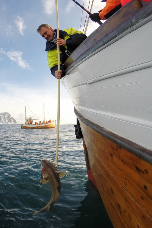 Lofoten: Traditional Fishing Trip - What happens during your 4 hours on the water