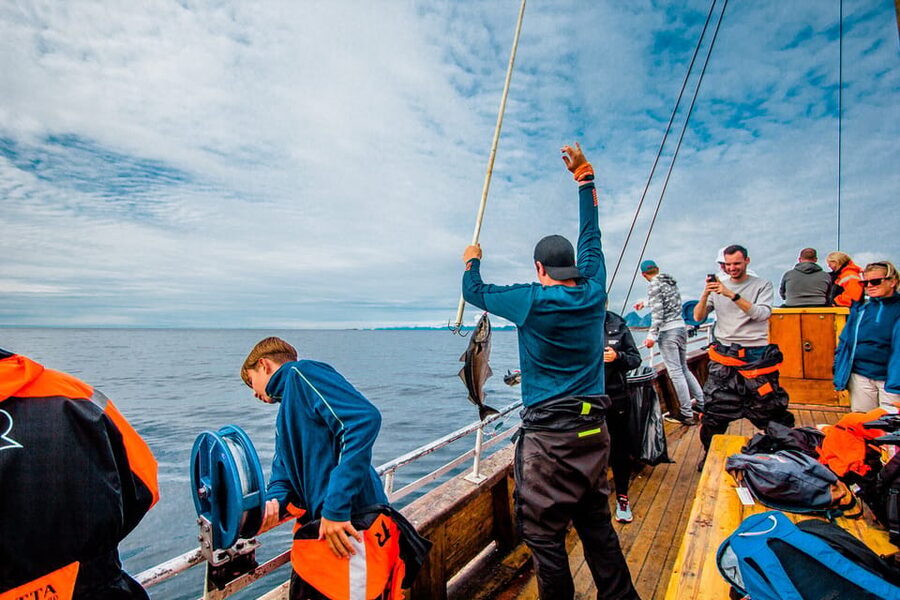Lofoten: Traditional Fishing Trip - Filleting your own fish on board, and taking it home