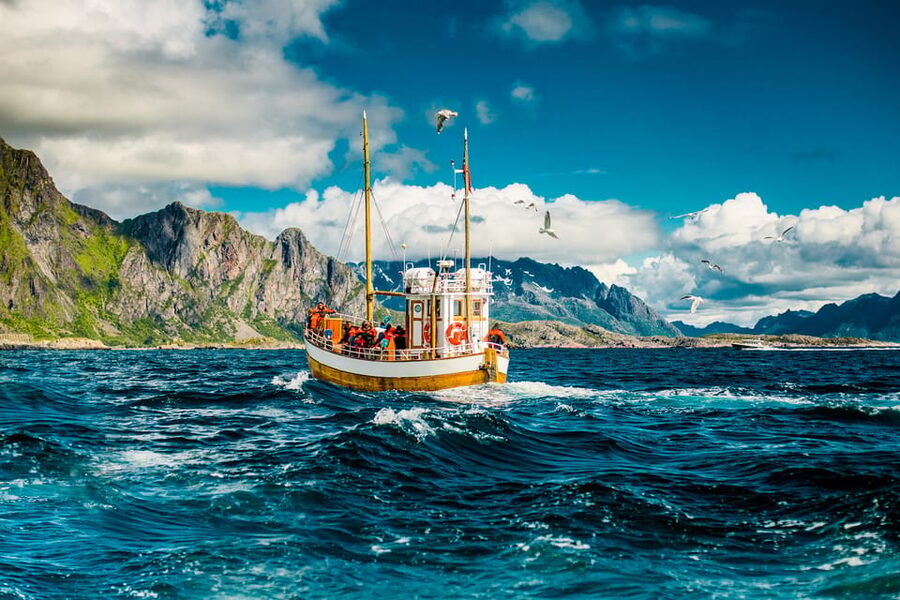 Lofoten: Traditional Fishing Trip - Onboard fishing stations: sharing a setup without losing your chance