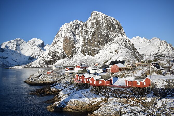 Lofoten VIP PRIVATE Tour from Leknes city / port - Key highlights that matter in real life