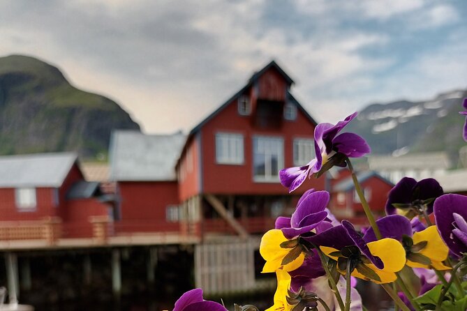 Lofoten VIP PRIVATE Tour from Leknes city / port - Stop-by-stop: Beaches and fjord viewpoints you can actually enjoy
