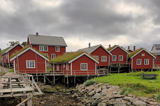 Lofoten VIP PRIVATE Tour from Leknes city / port - Guides and the difference between moving and meaning it