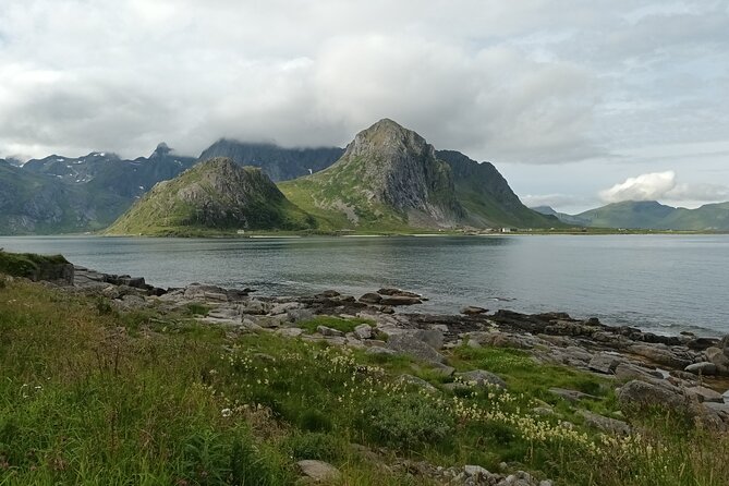 Lofoten VIP PRIVATE Tour from Leknes city / port - Value and price: what $526.48 per person buys you