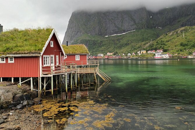Lofoten VIP PRIVATE Tour from Leknes city / port - Who should book this VIP private tour