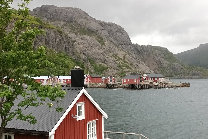 Lofoten VIP PRIVATE Tour from Leknes city / port - Leknes pickup, timing, and why the start matters