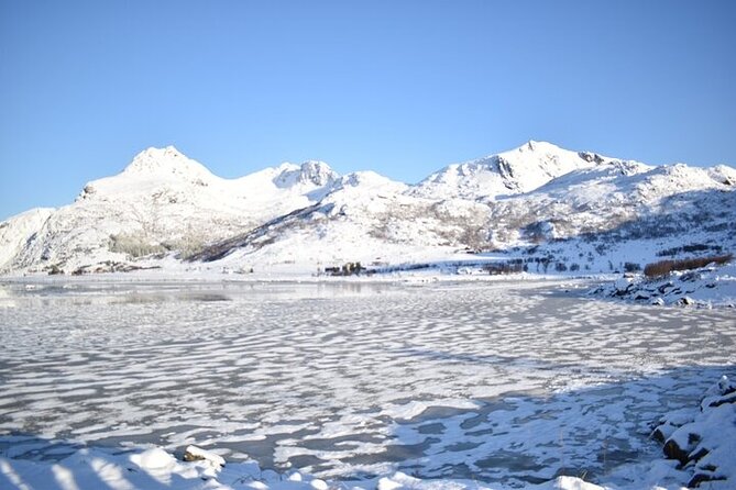 Lofoten VIP PRIVATE tour from Svolvaer - Hamnøy Scenic Viewpoint: The Red Cabins Frame the Fjord