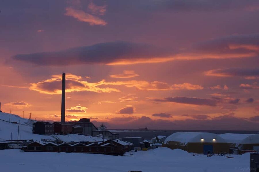 Longyearbyen: Arctic Ocean Swim, Sauna & Sightseeing - Key things to know before you go