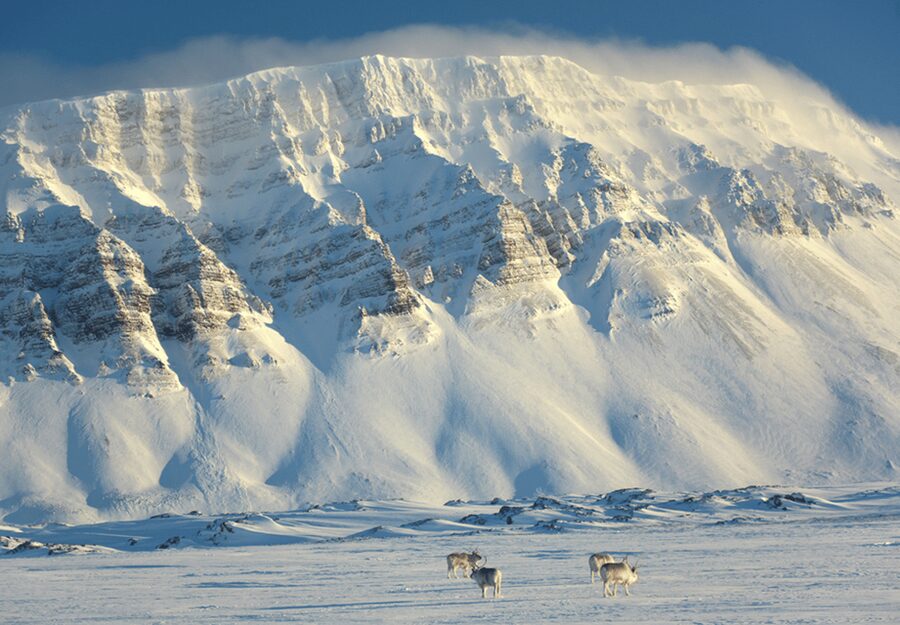 Longyearbyen: Snowmobile Tour to Tempelfjorden with Lunch - Longyearbyen to Tempelfjorden, winter scenery you feel in your bones