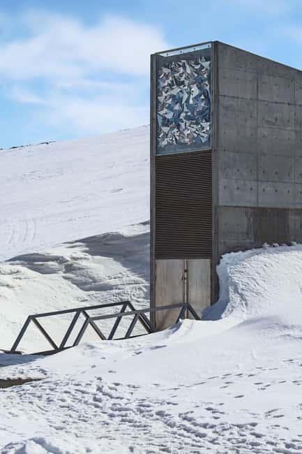 Longyearbyen: Svalbard Global Seed Vault Guided Walk - Key things I think you will enjoy