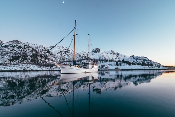 Luxury Northern Lights Yacht Cruise with Hot Tub from Tromsø - Food and drinks: reindeer soup plus warm drinks that feel worth it