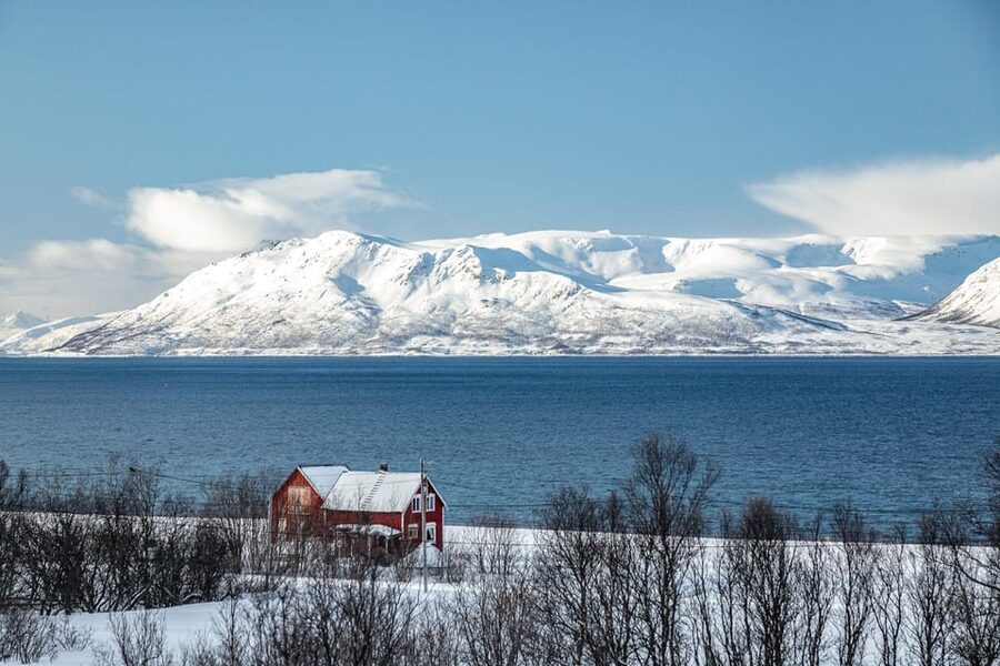 Lyngen: Snowmobile Safari with Lunch in seaside Restaurant - Key highlights you will actually care about