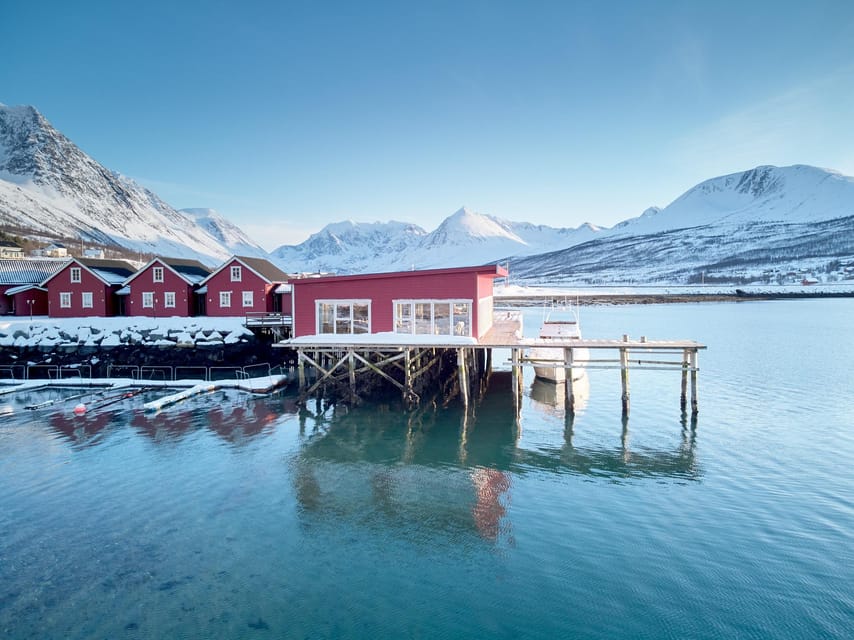 Lyngen: Snowmobile Safari with Lunch in seaside Restaurant - Photo stops, Arctic fjord views, and the chance of sea otter sightings