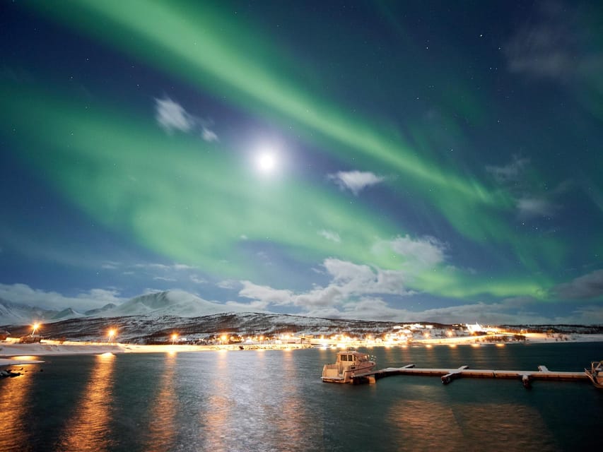 Lyngenalps: Northern Lights Snowmobile Safari - Snowmobile driving basics, plus what the tour asks of you