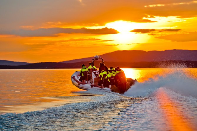 Lysefjord RIB Safari from Stavanger - The Ride Toward Lysefjord: Islands, Archipelago, Fish Farms, and Wildlife Odds
