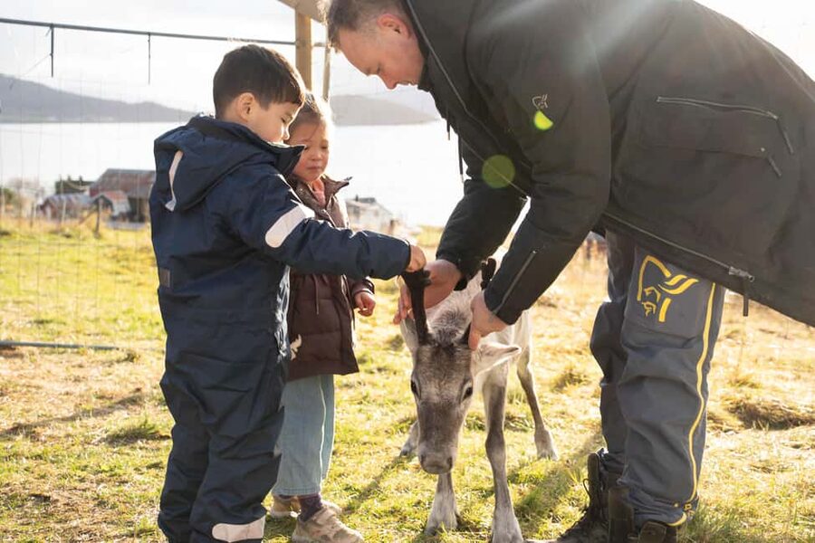 Malangen Sami Camp and Reindeer Experience with Lunch - Who should book, and who might want a different option