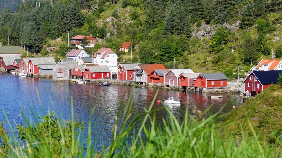Måløy: Electric Minibus Tour to Kannesteinen - Key Points You Should Know Before You Go