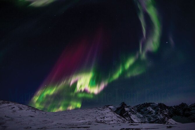 Marianne’s Heaven On Earth Aurora Chaser Tours - Group size, comfort, and what the small-team vibe means