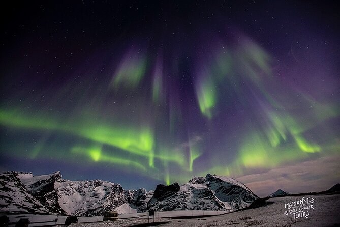 Marianne’s Heaven On Earth Aurora Chaser Tours - Price and value: why $291.52 can make sense here