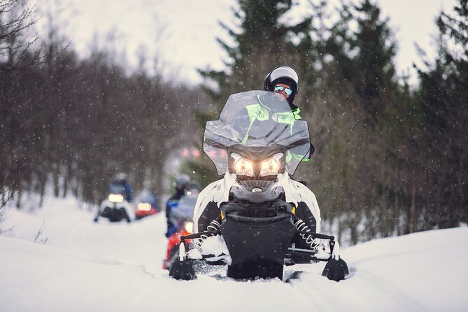 Midday Snowmobiling in Camp Tamok with Guide - Key Things I’d Highlight Before You Go