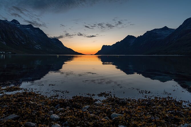 Midnight fjord tour - Who should book this tour, and who might skip it