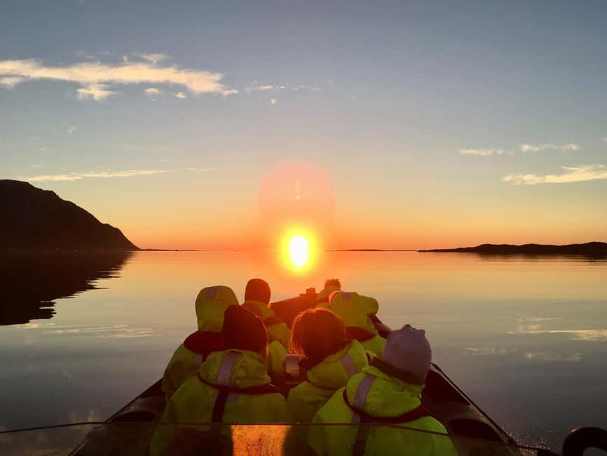 Midnight sun safari - The Wildlife Game Plan: Sea Eagles, Seals, Puffins, and Maybe More