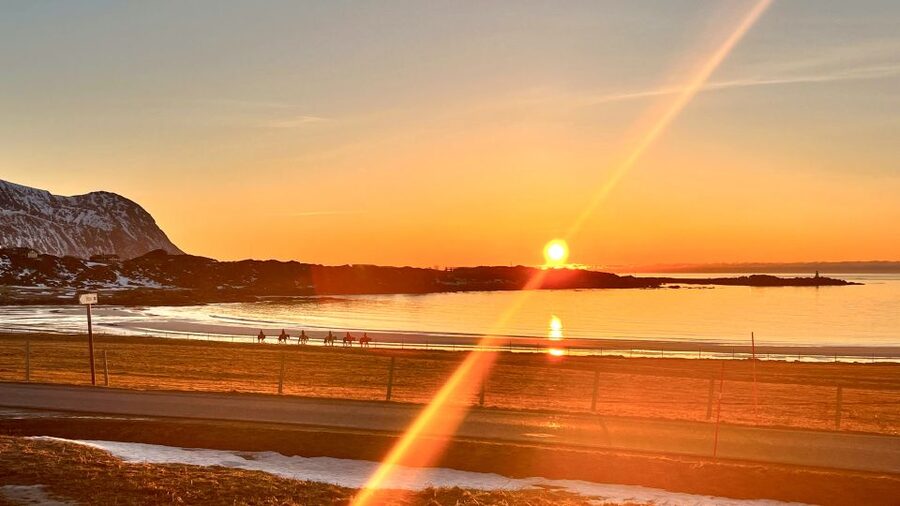 Midnight sun tour - Where Hov Gård Lets You See Midnight Sun Properly