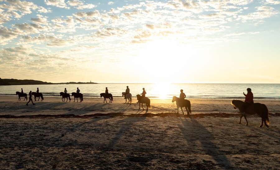 Midnight sun tour - What You Pay: Value at About $156 for a Guided Horse Ride