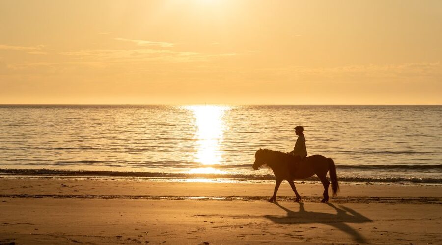 Midnight sun tour - Practical Logistics: Getting to the Stables and Packing Smart