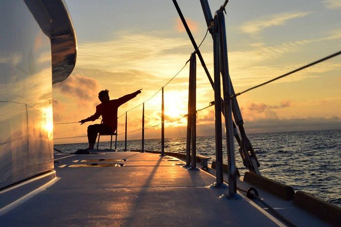 Midnightsun trip - Luxury Catamaran Arctic Princess - Key things you’ll notice on this midnight sun cruise