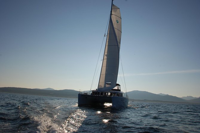 Midnightsun trip - Luxury Catamaran Arctic Princess - Sea-side sightseeing: mountains, islands, birds, and Tromsø from the water
