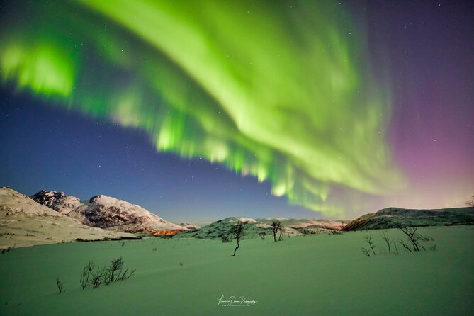 Minivan Northern Lights excursion (8 guests per minivan) - Warm overalls, boots, and staying comfortable long enough to see the lights