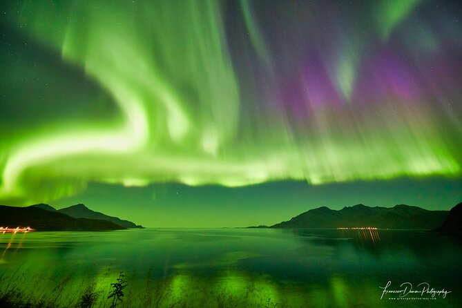 Minivan Northern Lights excursion (8 guests per minivan) - Tea, coffee, and muffins, plus the real rhythm of a good aurora night