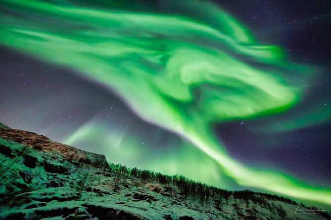 Minivan Northern Lights excursion (8 guests per minivan) - Price and value: $204.51 for a chase, not a guaranteed show