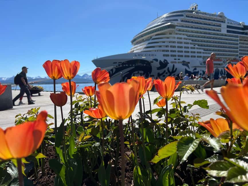 Molde: Atlantic Ocean Road, Kvernes Stave Church & More - Logistics that can save your day: two cruise docks and strict timing
